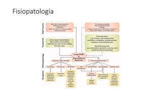 Diapositiva3