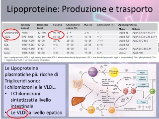 Diapositiva2