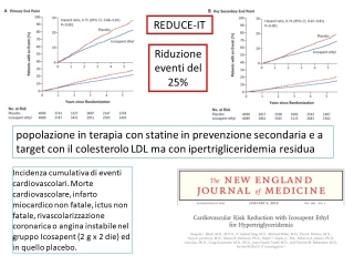 Diapositiva21