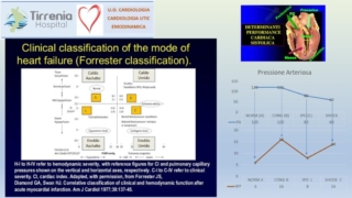 Diapositiva11