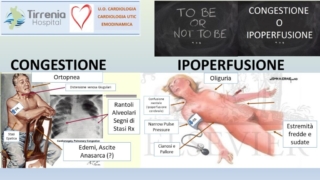Diapositiva12