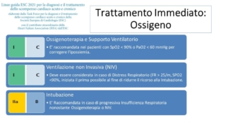 Diapositiva17