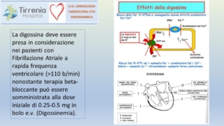 Diapositiva25
