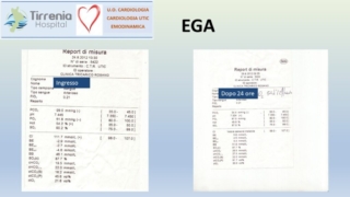 Diapositiva42