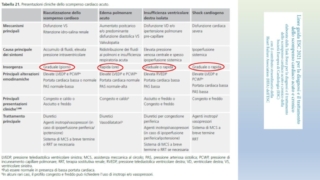 Diapositiva5